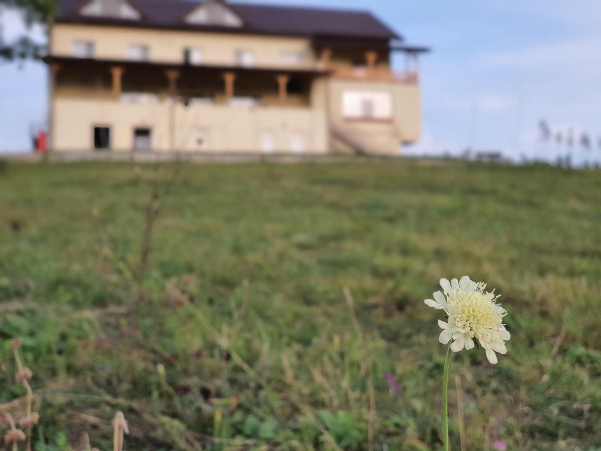 Motel Prislop Haţeg Esterno foto